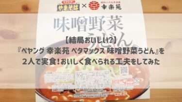 【結局おいしい？】『ペヤング 幸楽苑 ペタマックス 味噌野菜うどん』を２人で実食！おいしく食べられる工夫をしてみた